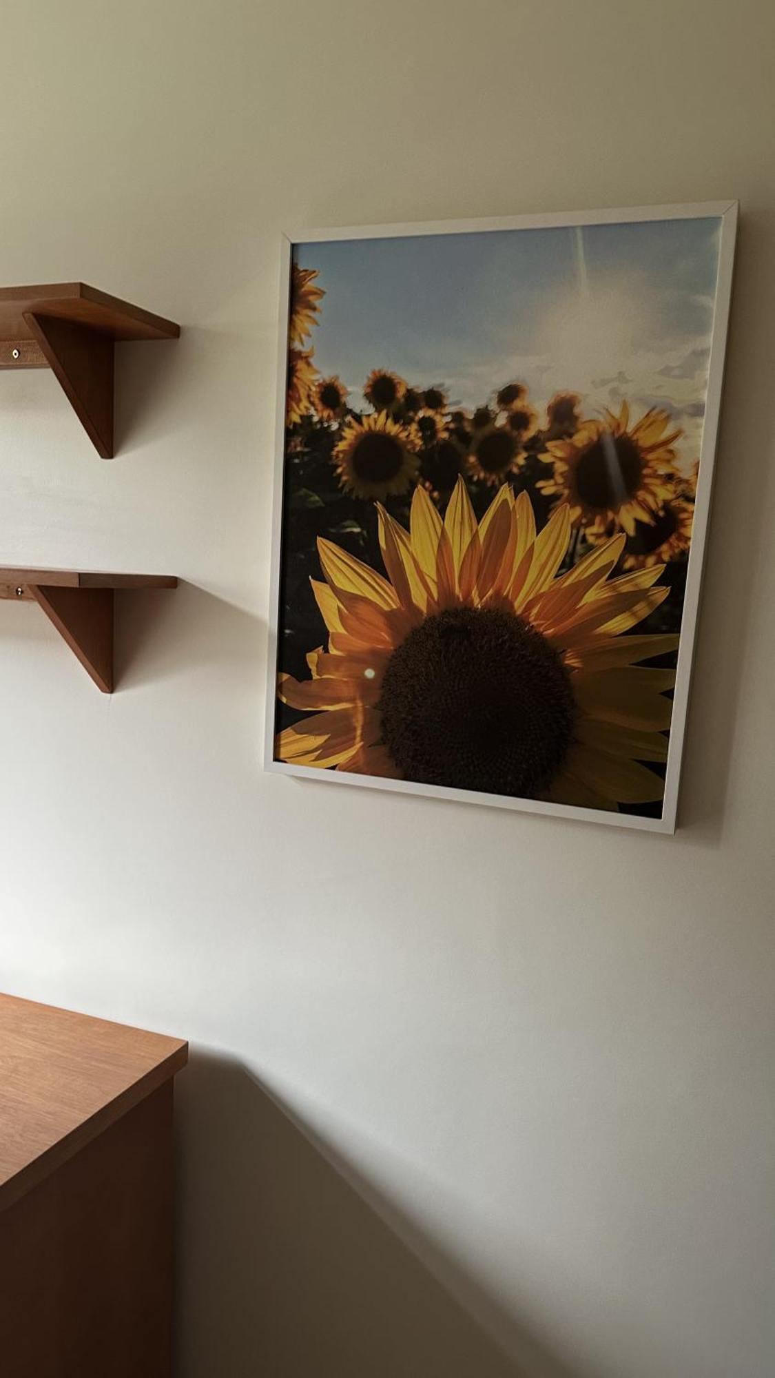 Um Apartmento Unifamiliar De 2 Quartos Florianopolis